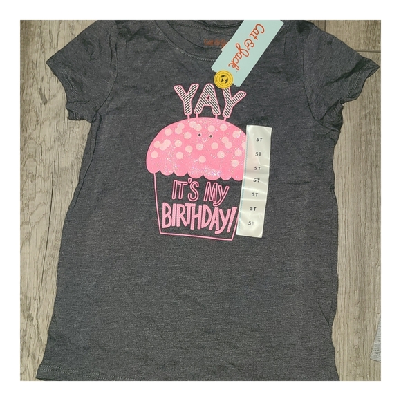 Lot of Cat and Jack Toddler Girls Clothes Tshirts Shorts Size 4T - Picture 3 of 5